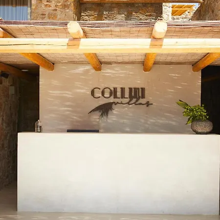 호텔 Collini Mykonos, Worldhotels Elite